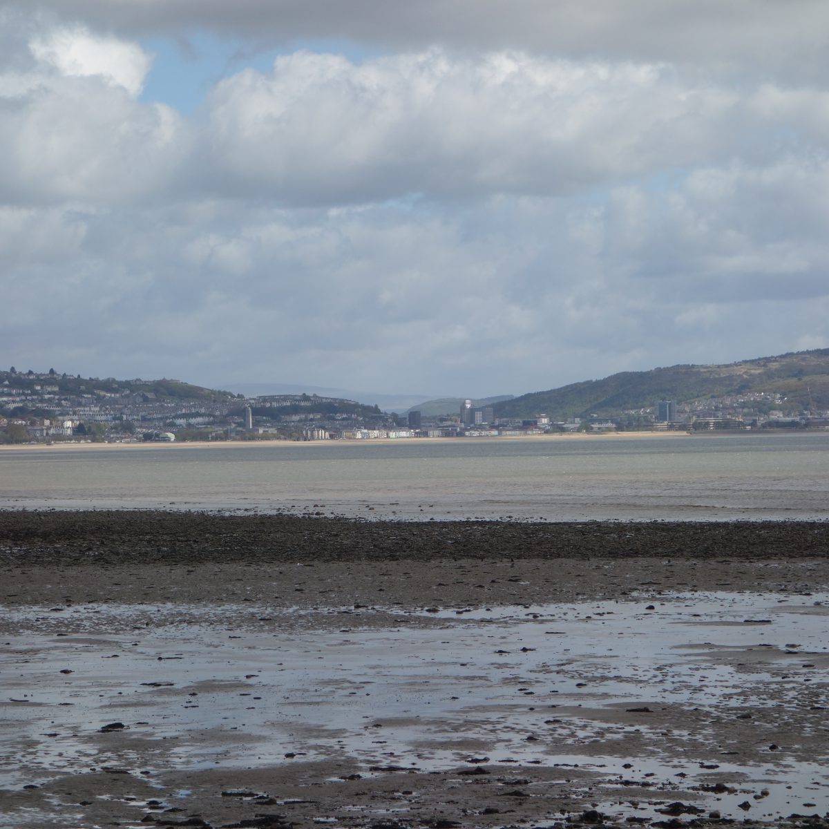 Mumbles Sea Hive - Blue Cube