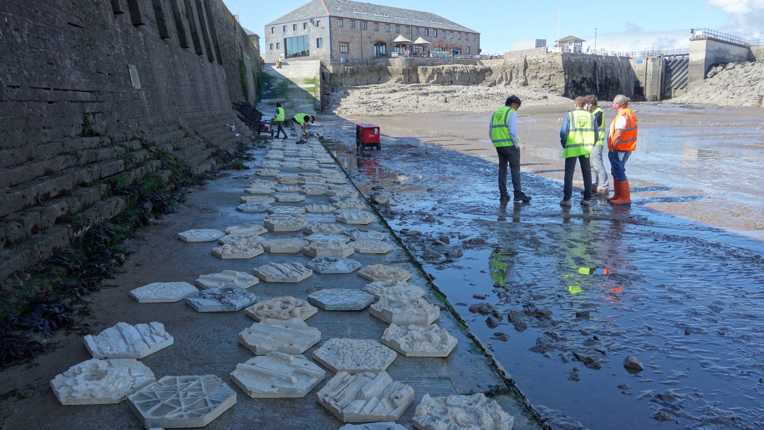 Settlers of Porthcawl